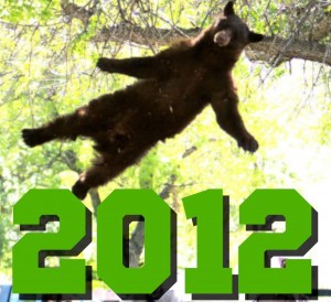 The falling bear -- a 2012 mascot.
